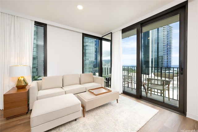 living area with recessed lighting, wood finished floors, and floor to ceiling windows