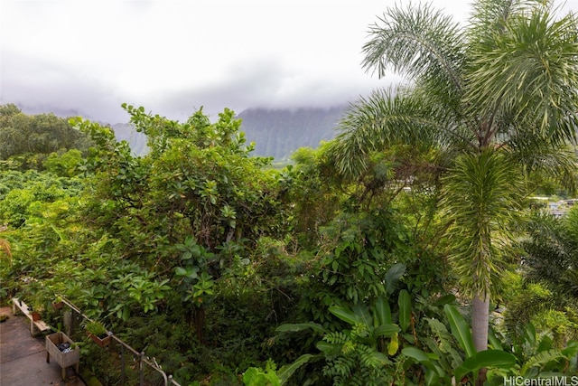 view of landscape