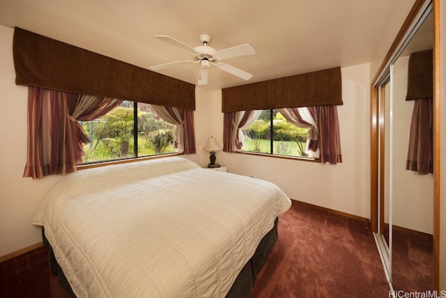 carpeted bedroom featuring a closet, ceiling fan, and multiple windows