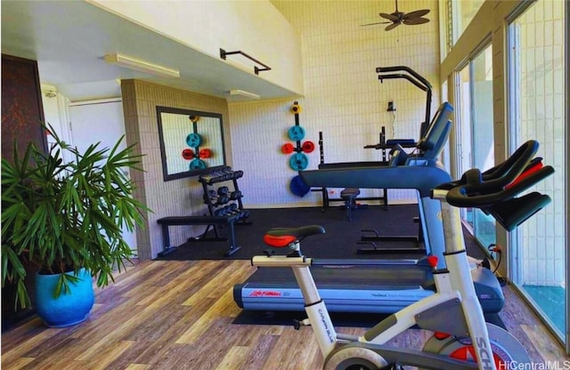 exercise room with ceiling fan and hardwood / wood-style flooring