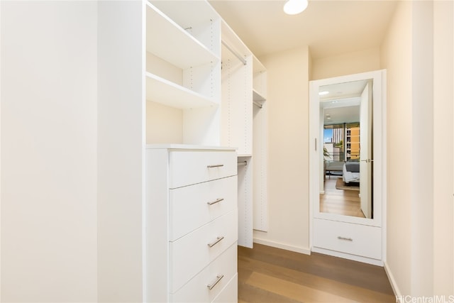 walk in closet with hardwood / wood-style floors