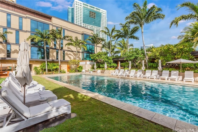 view of swimming pool featuring a lawn