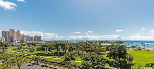 drone / aerial view with a water view