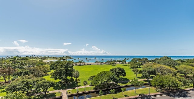 drone / aerial view with a water view