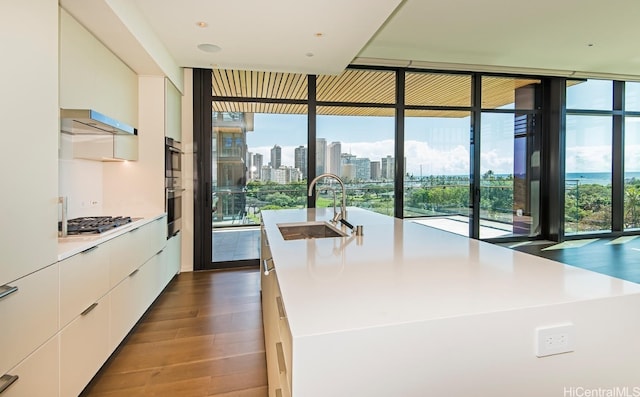 kitchen with sink, white cabinetry, a wealth of natural light, and dark hardwood / wood-style floors