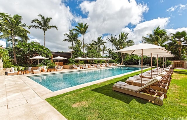 view of swimming pool featuring a patio area and a lawn