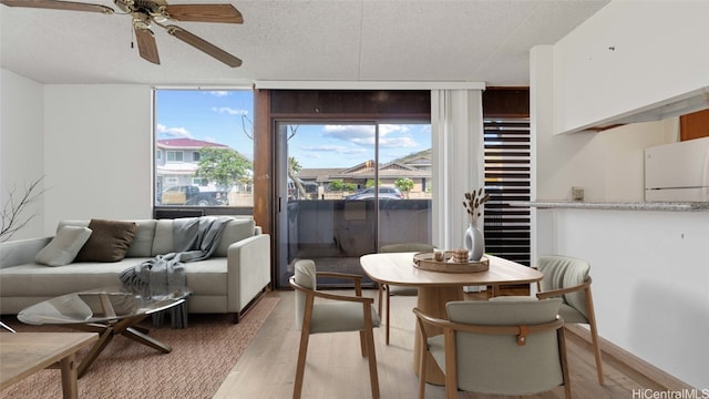 dining space featuring ceiling fan, hardwood / wood-style flooring, and a textured ceiling