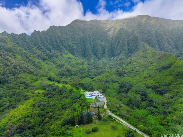 view of mountain feature