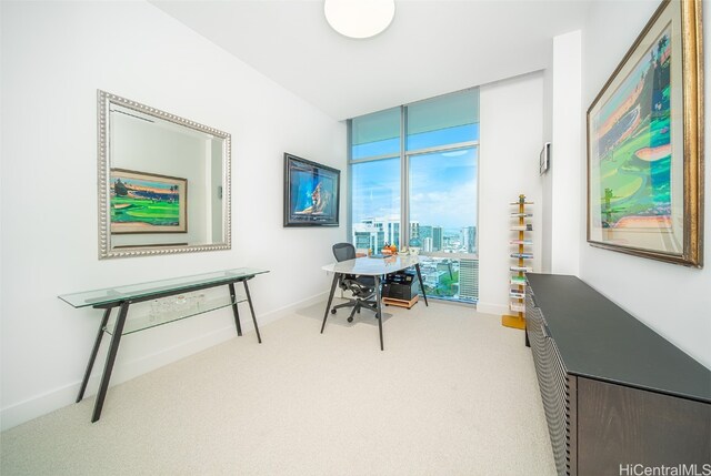 view of carpeted home office