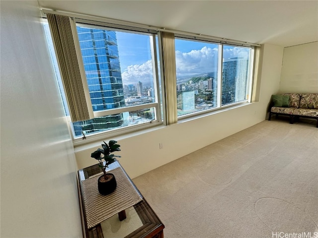 sitting room with carpet and plenty of natural light