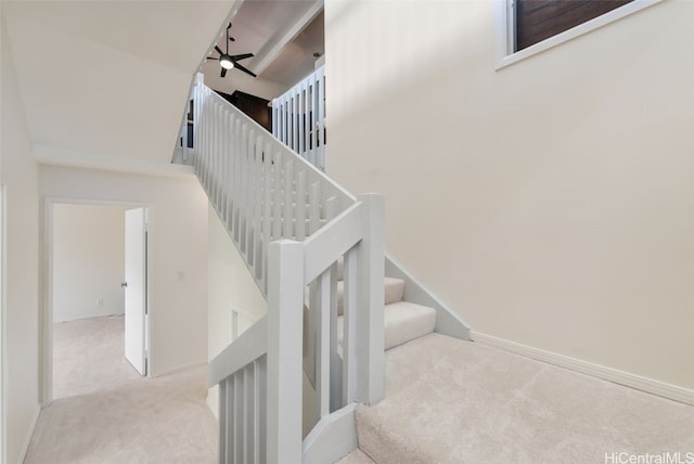 staircase featuring a high ceiling, carpet, and ceiling fan