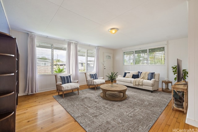 living room with hardwood / wood-style floors