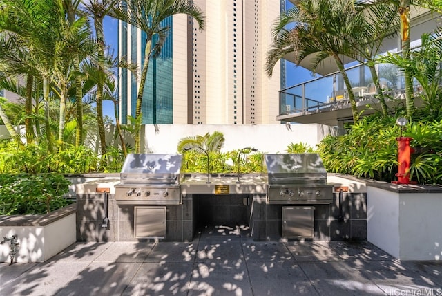 view of patio / terrace with an outdoor kitchen and grilling area