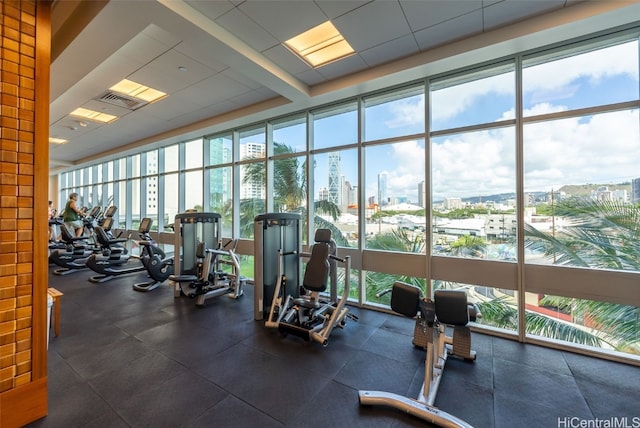 exercise room featuring a wall of windows