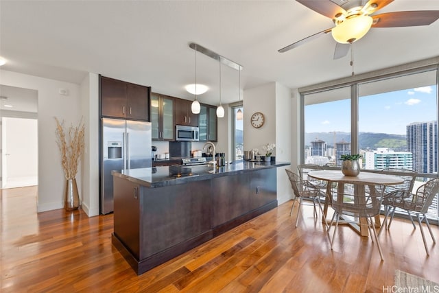 kitchen featuring ceiling fan, stainless steel appliances, dark brown cabinetry, and dark hardwood / wood-style floors