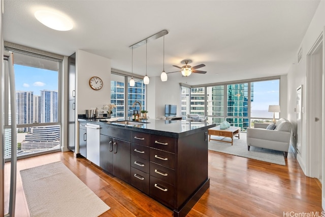 kitchen with dark brown cabinetry, a wealth of natural light, light wood-type flooring, and a wall of windows