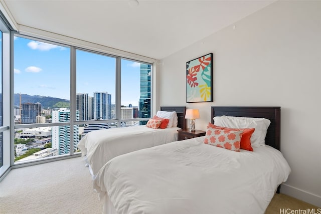 carpeted bedroom with a wall of windows