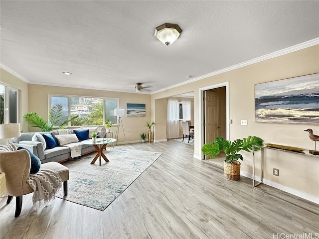 living room with crown molding, a textured ceiling, light wood-type flooring, and ceiling fan