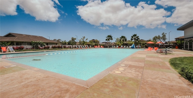 view of pool featuring a patio area