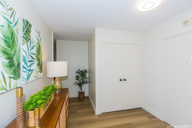 corridor featuring light hardwood / wood-style flooring