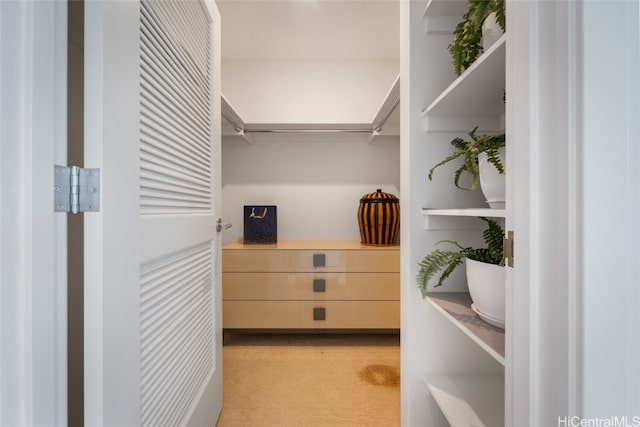 walk in closet with light carpet