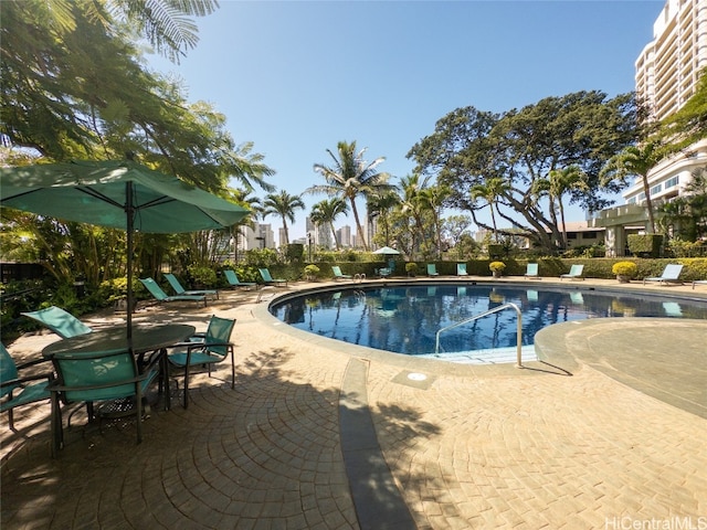 view of swimming pool featuring a patio area