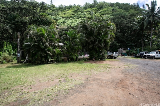 view of yard