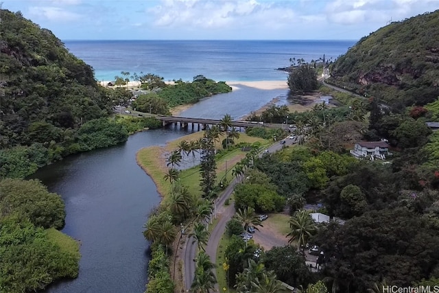 aerial view with a water view