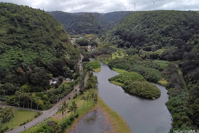 drone / aerial view with a water and mountain view