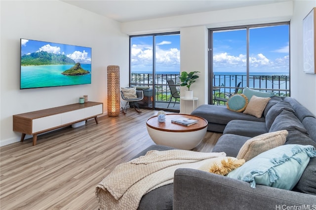 living room with light hardwood / wood-style flooring and a water view