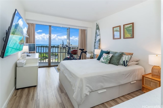 bedroom featuring access to exterior and light hardwood / wood-style floors