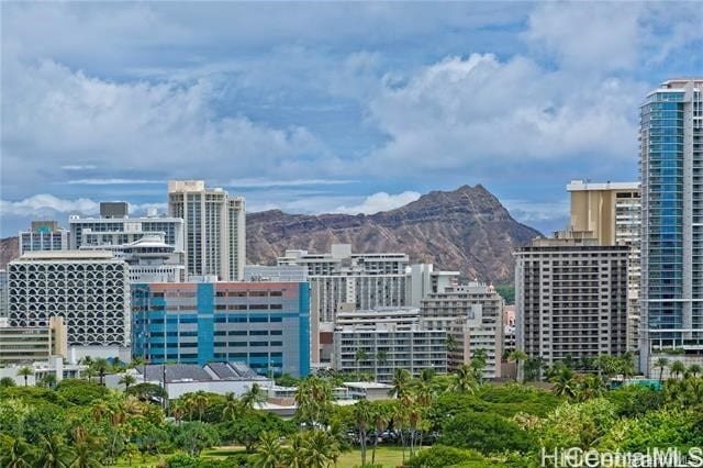 property's view of city featuring a mountain view