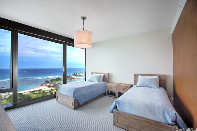 bedroom featuring a water view, wood-type flooring, and a view of the beach