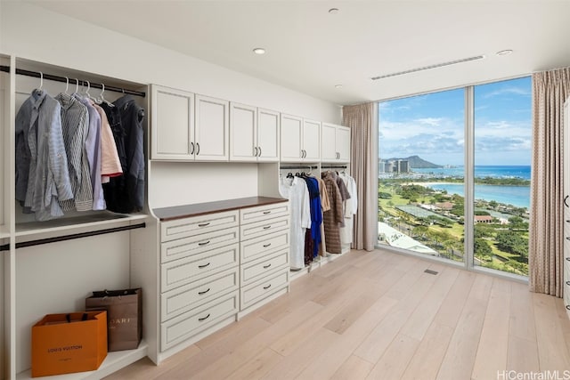 walk in closet with light hardwood / wood-style floors