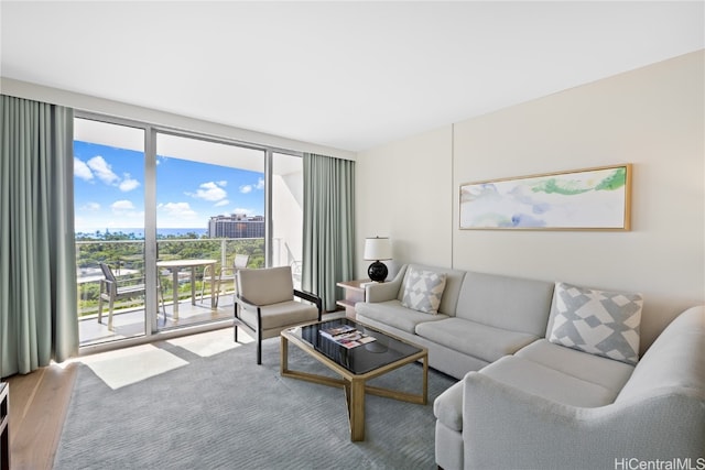 living room featuring expansive windows and hardwood / wood-style flooring