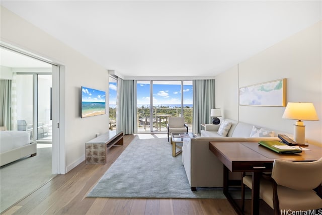 living room featuring floor to ceiling windows and light hardwood / wood-style floors