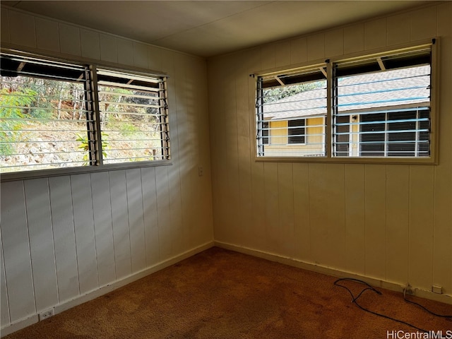 spare room featuring carpet and wood walls