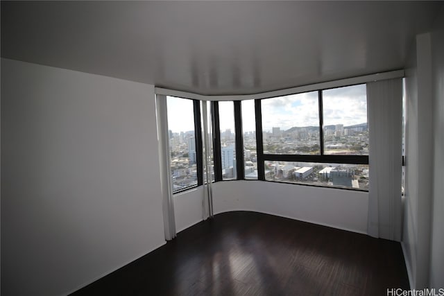 empty room featuring a wealth of natural light and dark hardwood / wood-style floors