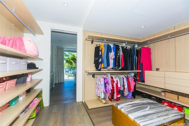 walk in closet featuring dark hardwood / wood-style flooring