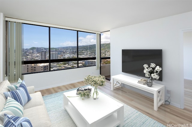 living room with hardwood / wood-style flooring and a healthy amount of sunlight