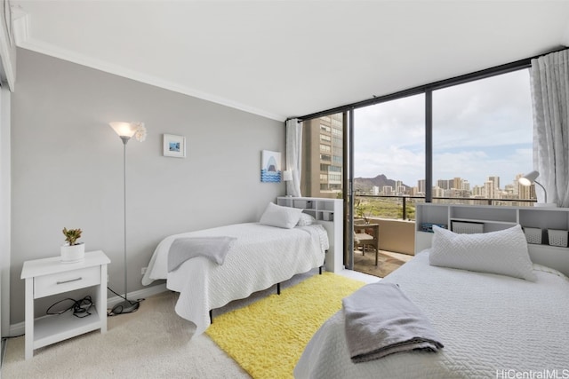 carpeted bedroom with crown molding and floor to ceiling windows