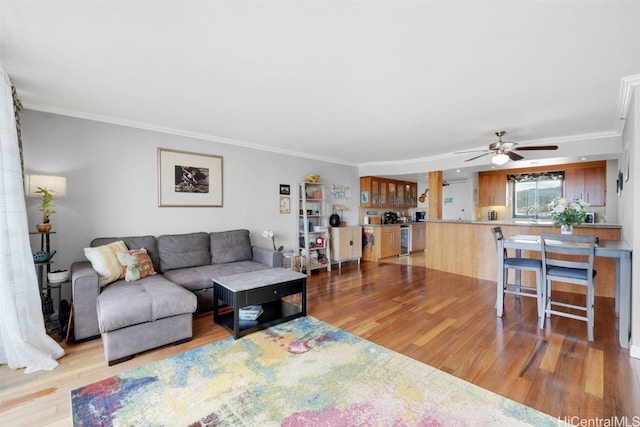 living room featuring ornamental molding, sink, light wood-type flooring, and ceiling fan