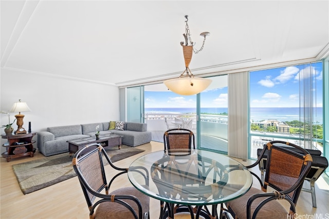 interior space with a water view, expansive windows, and light wood-type flooring