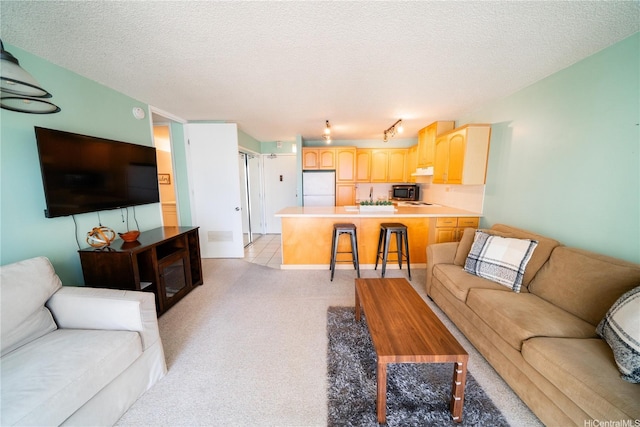 2140 Kuhio Ave Unit 1907, Honolulu, HI 96815 - living area featuring a textured ceiling and light colored carpet