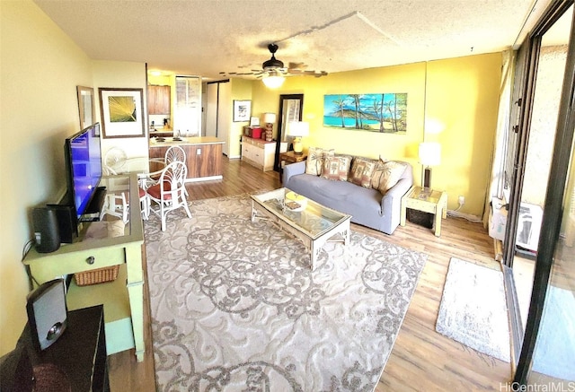 living room featuring ceiling fan, a textured ceiling, and light hardwood / wood-style flooring