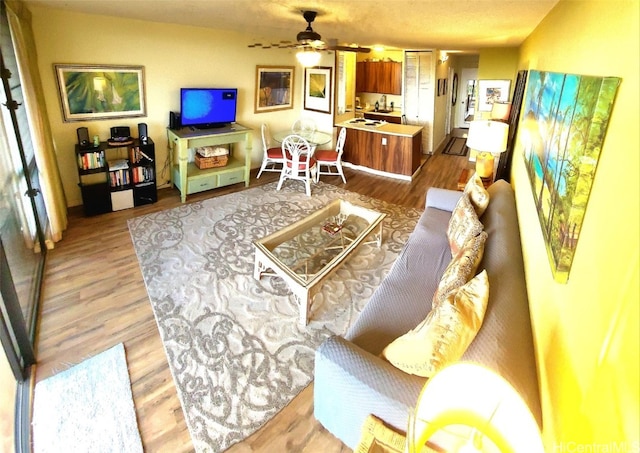 living room with light wood-type flooring and ceiling fan