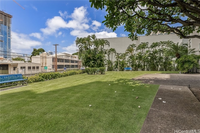 view of community featuring a yard