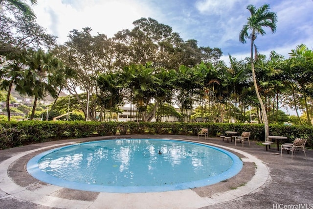 view of pool featuring a patio area