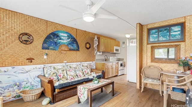 living room featuring sink, light hardwood / wood-style flooring, a textured ceiling, and ceiling fan