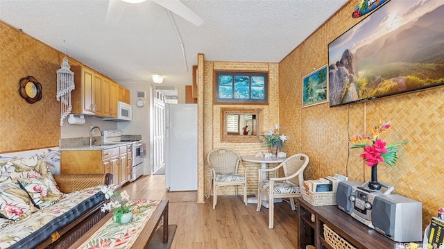 interior space featuring light hardwood / wood-style flooring, a textured ceiling, sink, and ceiling fan